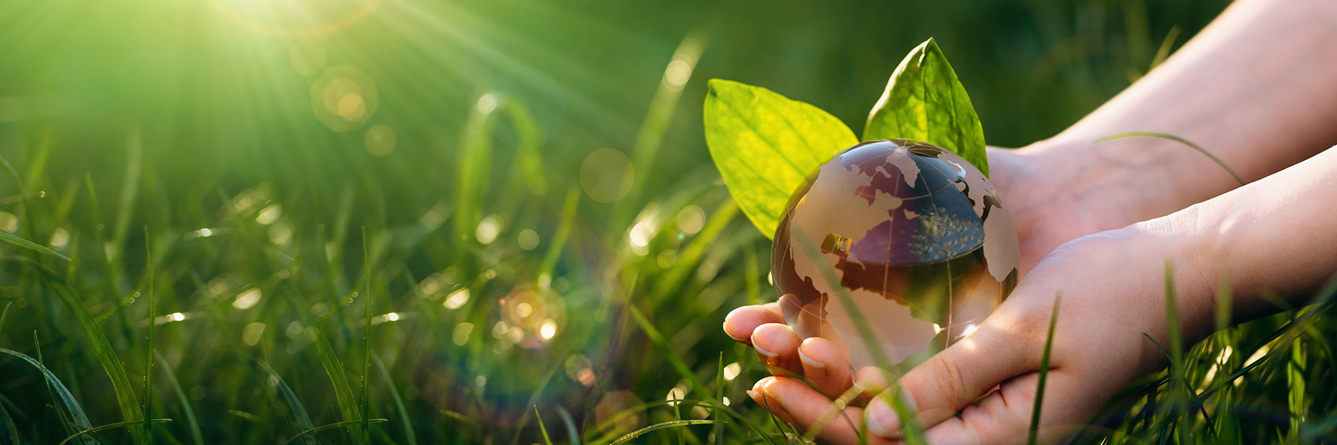 三木プーリの環境保護方針イメージ（葉と地球のガラスオブジェを両手で包み込み環境保全への取り組みを表現したビジュアル）